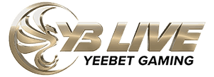 VB9 Logo
